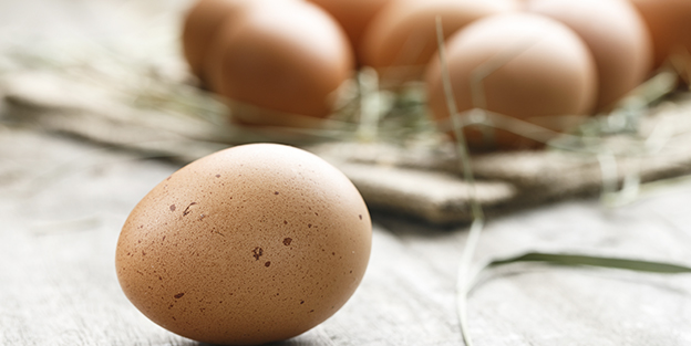 Curiosités sur les oeufs